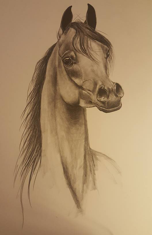 JM Equine Art